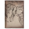 Book cover Birds family BC3a