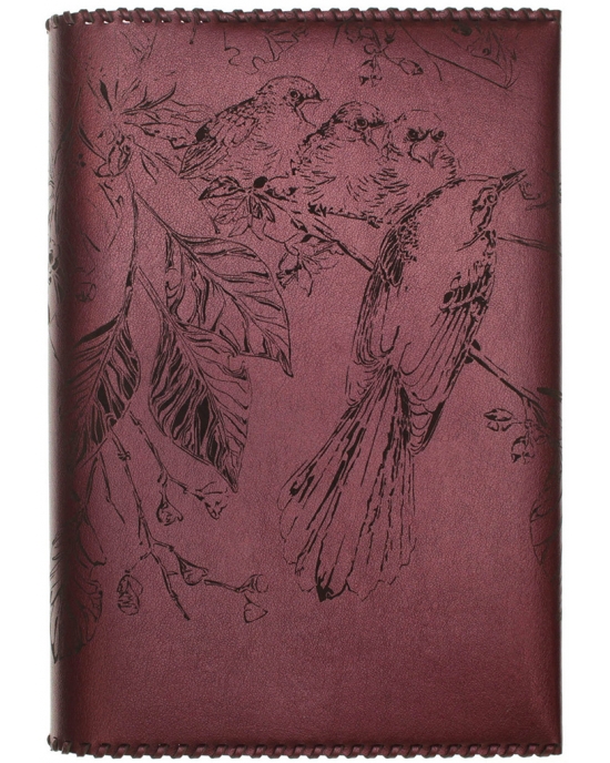 Book cover Birds family BC3