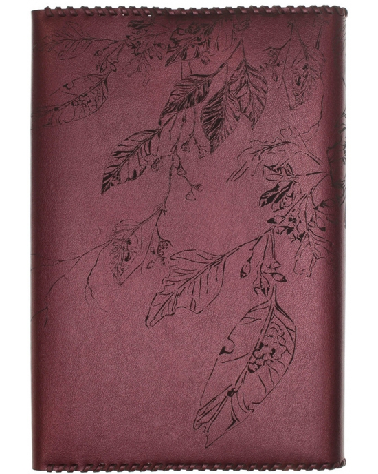 Book cover Birds family BC3
