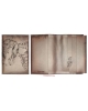 Book cover Birds family BC3a