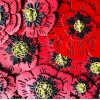 Poppy