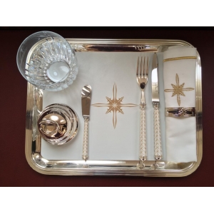 "Global Jet", Private aircraft