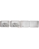 Card Case Fish CC14