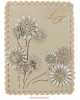 Travel Card Case Ligo Daisy CC62
