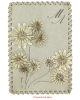 Card Case Ligo Daisy CC61