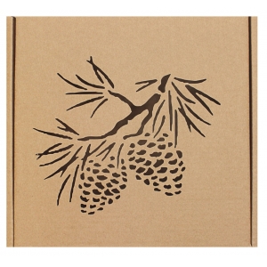 Gift box Pine cone GBK44