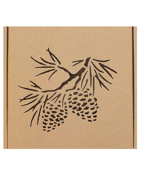Gift box Pine cone GBK44