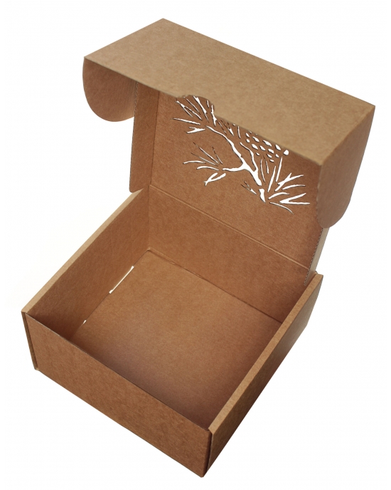 Gift box Pine cone GBK44