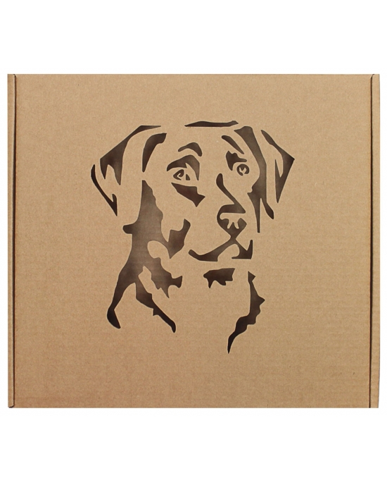 Gift box Dog GBK70