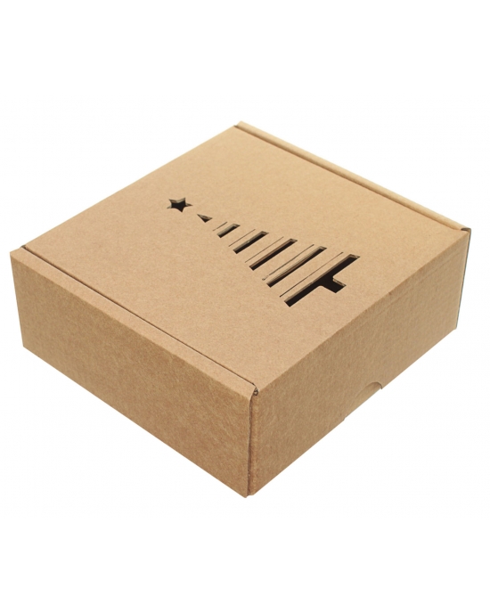 Gift box Spruce tree GBK22