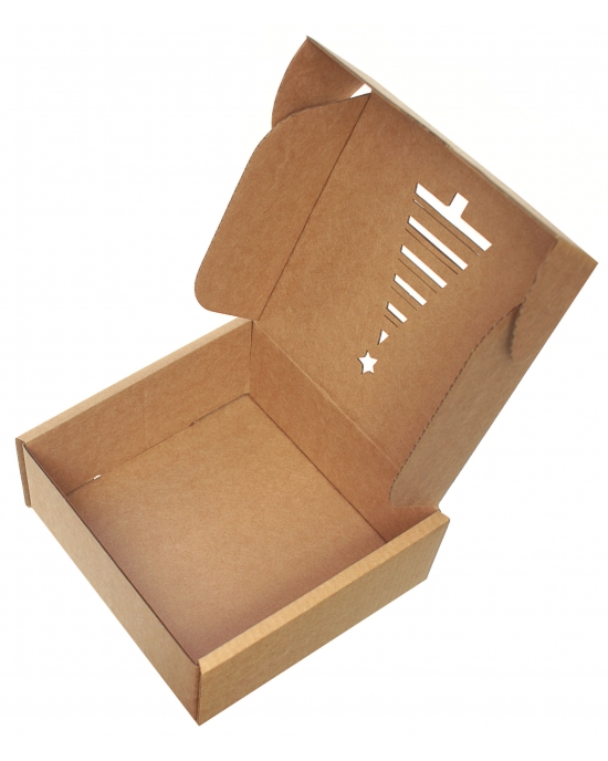 Gift box Spruce tree GBK22