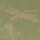 Engraved Green 
