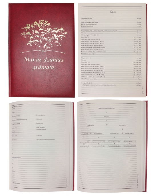 Family tree book Tree DGC4
