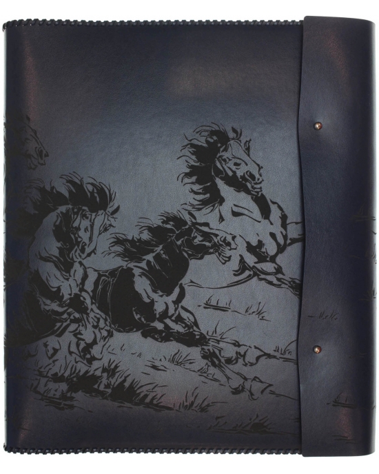File cover Horses FC2