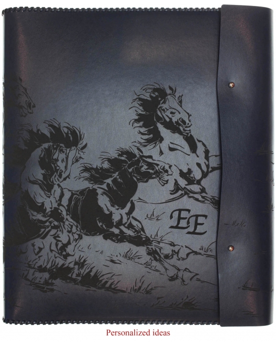 File cover Horses FC2