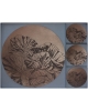 Gift sets Cabbage GSH10ca