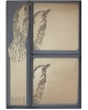 Gift sets Birds GSH18bi