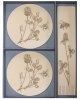Gift sets Clover GSH17cl2