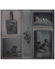Gift sets Horses GS26ho