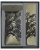 Gift sets Tree GS8tr1