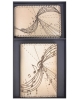 Gift sets Music GS2mu