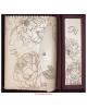 Gift sets Peonies GS79pe