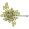 Hair pin Daisy HP208