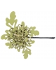 Hair pin Daisy HP208