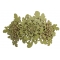 Hair Clip Daisy HC23