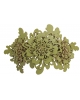 Hair Clip Daisy HC23
