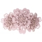 Hair Clip Daisy HC24