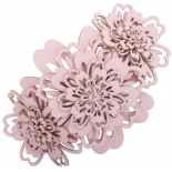 Hair Clips