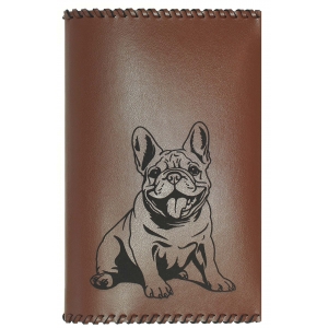Pets passport cover PCP6