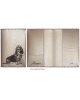 Pets passport cover Basset Hund PCP4 