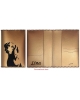 Pets passport cover Vizsla PCP5 
