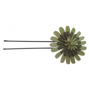 U shaped pins Ligo daisy HPU49