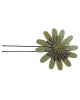U shaped pins Ligo daisy HPU52