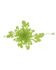 Bracelet Daisy A70