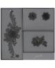 Gift sets Daisy GSJ5da3