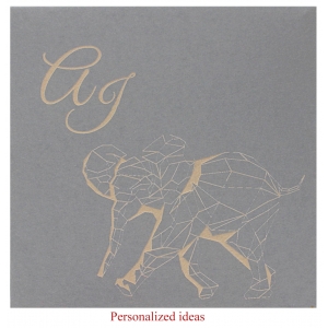 Personalized packaging PP106